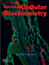 Journal Of Cellular Biochemistry雜志