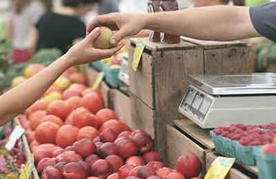 面料里料市場十月份的銷售情況預(yù)測