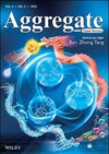 Aggregate雜志