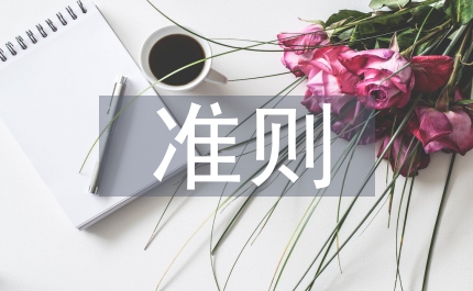 新準(zhǔn)則特點(diǎn)