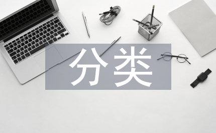 企業(yè)所得稅分類指導(dǎo)意見