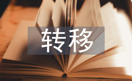 控制權(quán)轉(zhuǎn)移價(jià)格管理