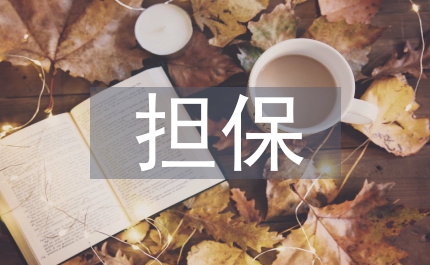 擔(dān)保企業(yè)制度