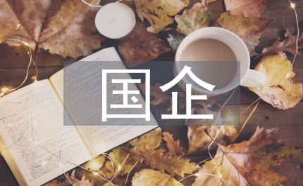 國(guó)企政治轉(zhuǎn)化市場(chǎng)競(jìng)爭(zhēng)調(diào)研