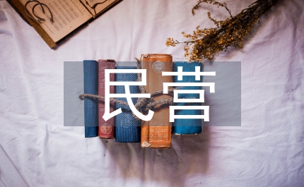 民營財(cái)務(wù)風(fēng)險(xiǎn)企業(yè)財(cái)務(wù)管理論文