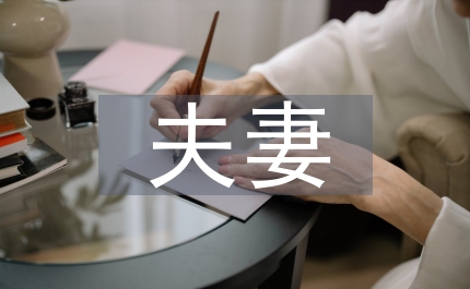 夫妻財產(chǎn)制度探討論文