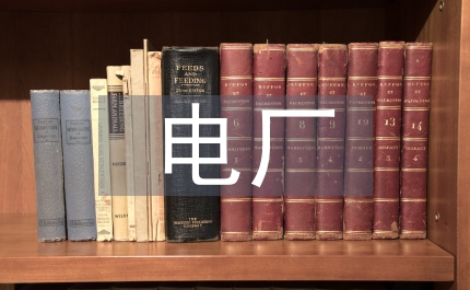 電廠科學(xué)發(fā)展觀匯報(bào)