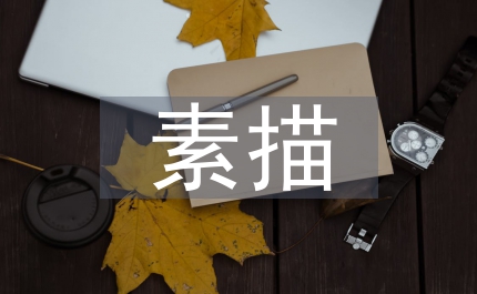 淺談藝校素描教學(xué)