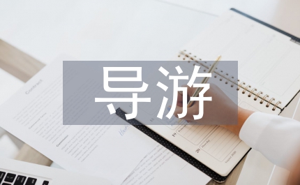 優(yōu)秀導(dǎo)游個(gè)人總結(jié)