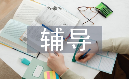 全面推進(jìn)依法行政實(shí)施綱要的輔導(dǎo)報(bào)告