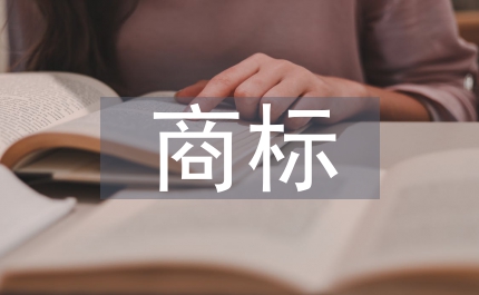 商標(biāo)培訓(xùn)總結(jié)