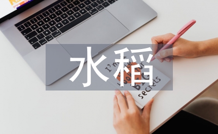 水稻免耕拋秧培養(yǎng)論文