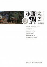 小說(shuō)林