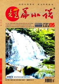 短篇小說(shuō)